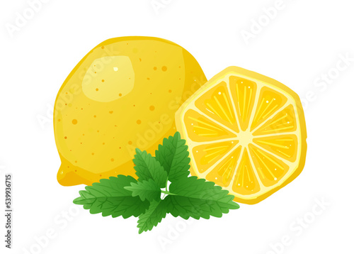 Slice of lemon and mint leaves cartoon illustration template. Stylized flat vector elements in yellow, white and green colors. Best for web, print, advertising, logo creating and branding design.