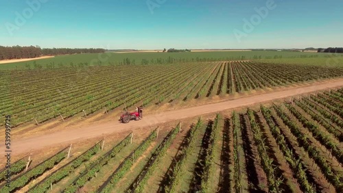 AERIAL - Tractor on a vineyard under blue sky, Mercedes, Argentina, spinning shot photo