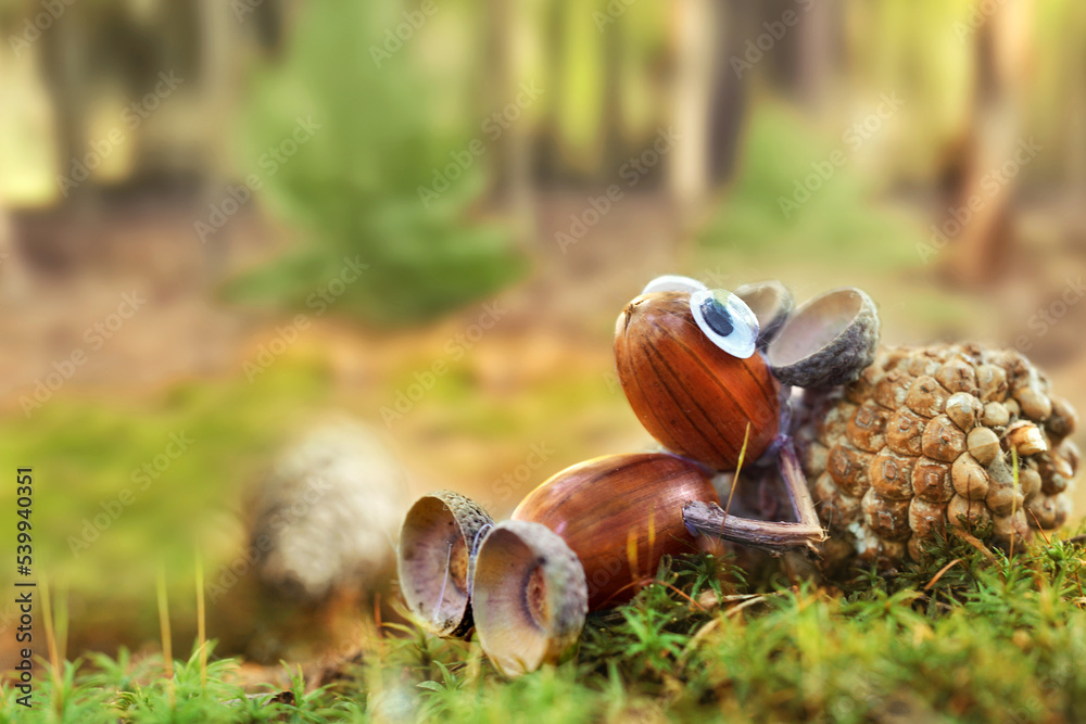 relaxen im Wald relaxen im Wald