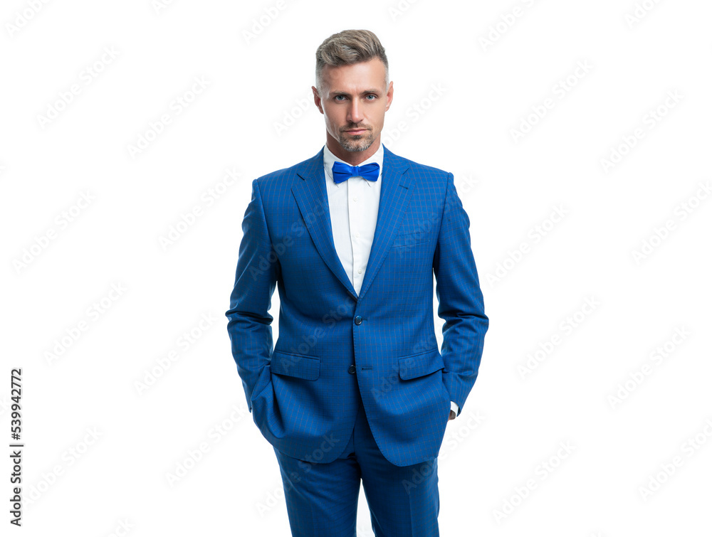 grizzle formal man in blue tuxedo bowtie isolated on white background grizzle formal man in blue tuxedo bowtie isolated on white background