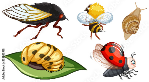 Set of different kinds of insects © blueringmedia