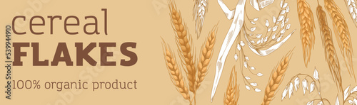 Cereal flakes banner design. Organic grain food, product, advertising horizontal background. Bread, bakery promotion template with spikelet, kernel crop, plant. Hand-drawn graphic vector illustration