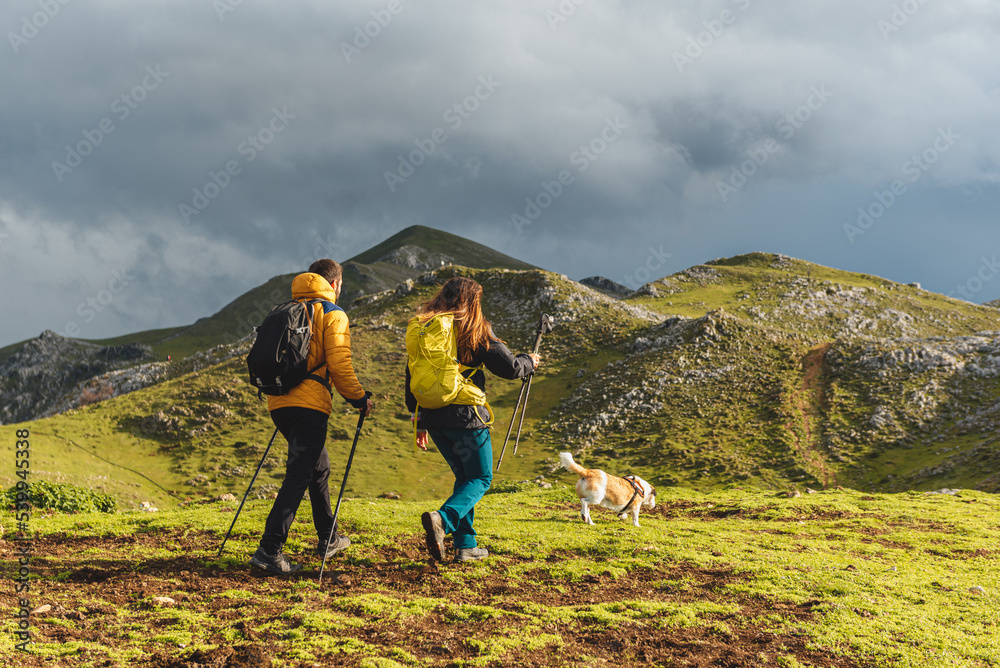 Two mountaineers with backpacks are hiking with their dog in the mountains on a cloudy day. outdoor activities and healthy lifestyle