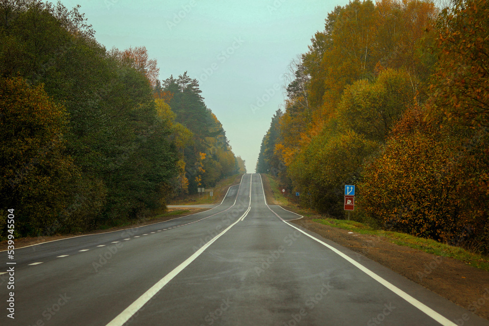 A road stretching into the horizon in autumn with yellow and green trees A road stretching into the horizon in autumn with yellow and green trees