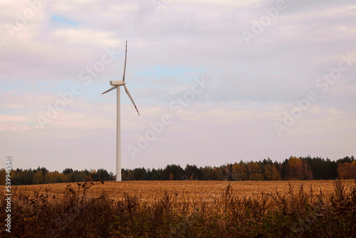 View of wind turbines in Belarus, environmentally friendly electricity production