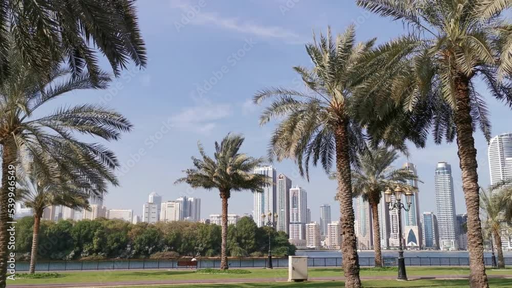 Windy Sharjah corniche. Date palm trees leaves waving in wind. Sharjah city Skyscrapers, United Arab Emirates. Windy Sharjah corniche. Date palm trees leaves waving in wind. Sharjah city Skyscrapers, United Arab Emirates.