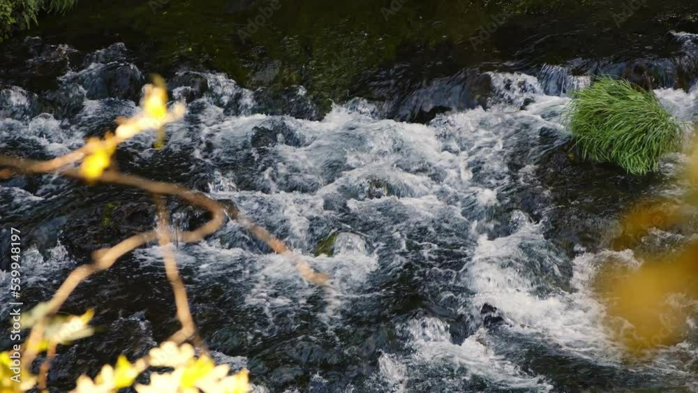 Waterfall View in Wild Nature Waterfall View in Wild Nature