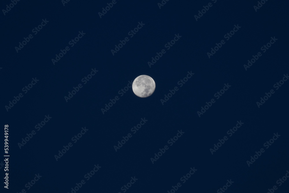 moon moon
