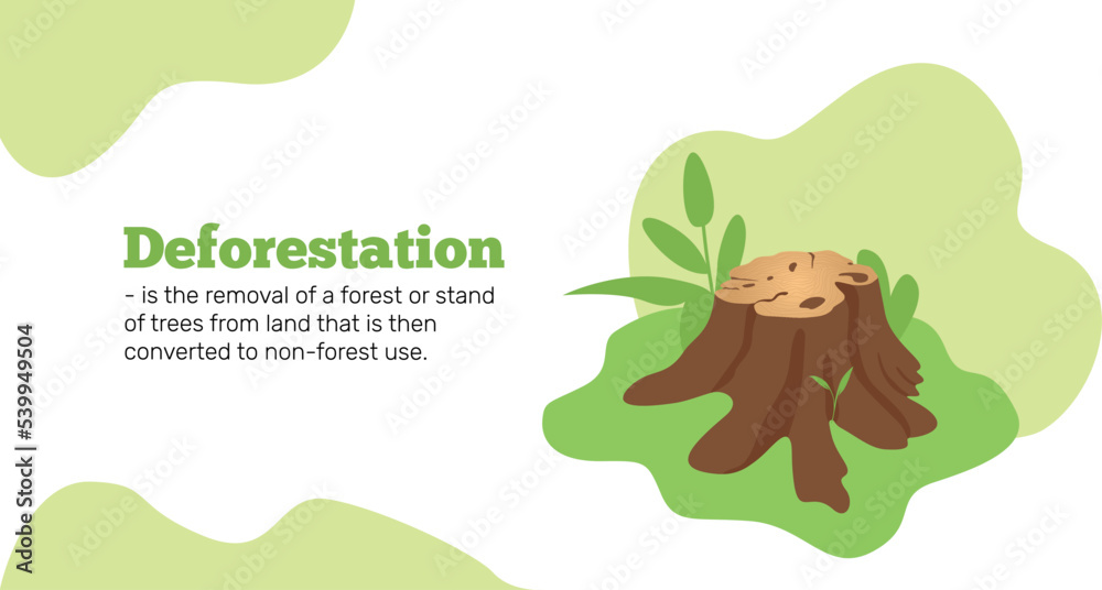 Deforestation. Trees Stump and Deforestation Background , Forest and
