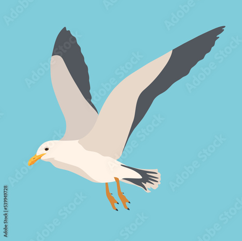 Cartoon atlantic seabird, seagulls flying on isolated white background. Sea, Ocean, Gull, bird in a vector flat style