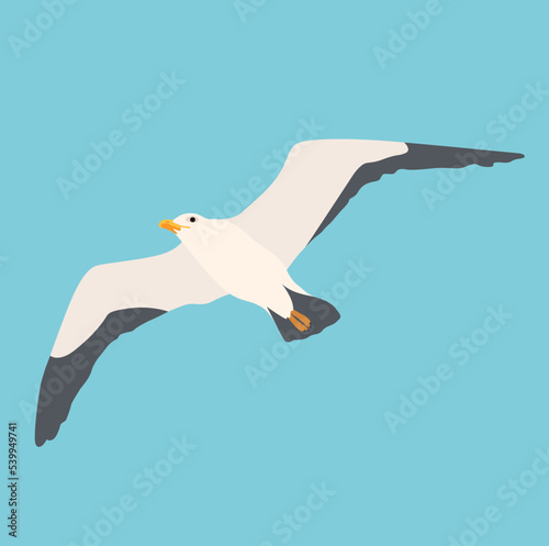 Cartoon atlantic seabird, seagulls flying on isolated white background. Sea, Ocean, Gull, bird in a vector flat style