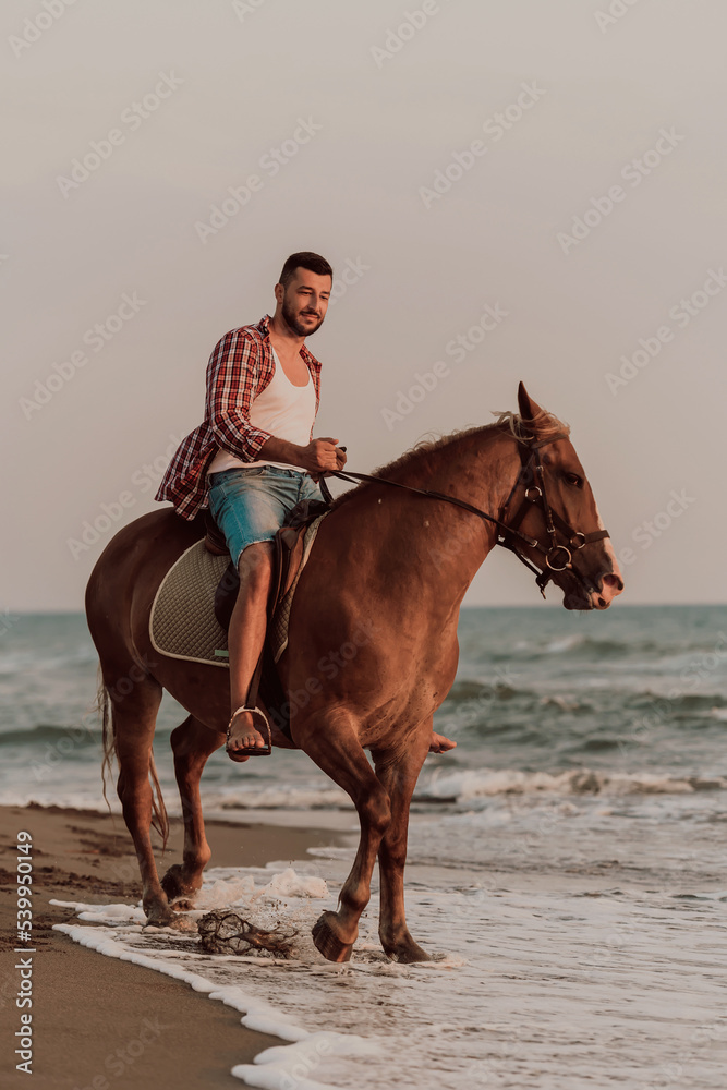 A modern man in summer clothes enjoys riding a horse on a beautiful sandy beach at sunset. Selective focus 