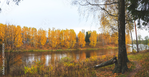 Fotografie Autumn landscape with birch trees and forest river