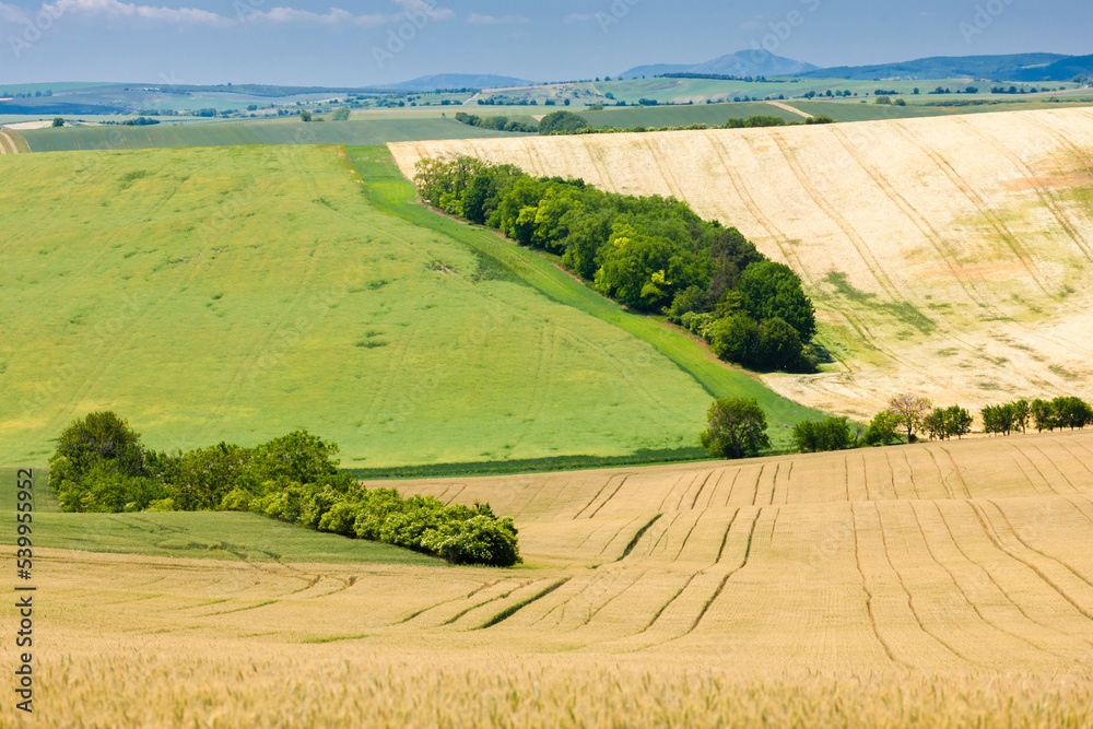 Obraz premium landscape called Moravian Tuscany, Southern Moravia, Czech Republic