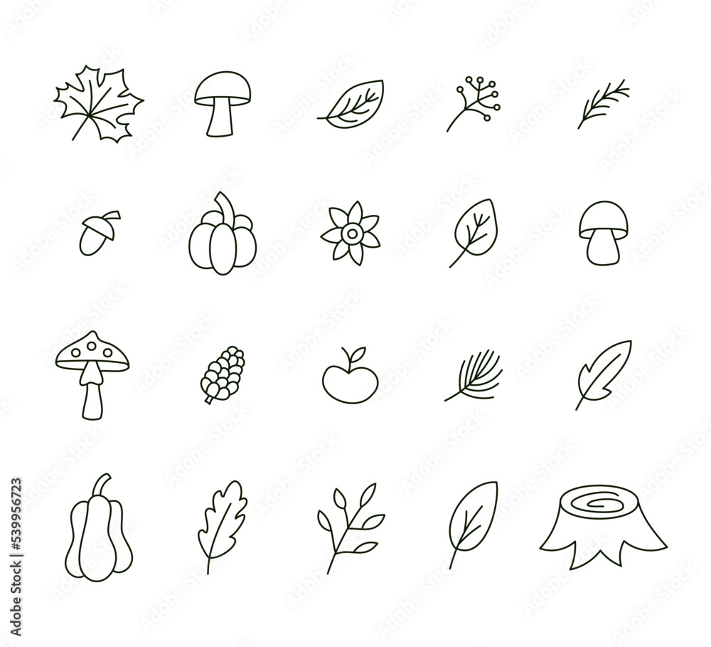 Forest icon set. Doodle fall elements. Hand drawn objects.