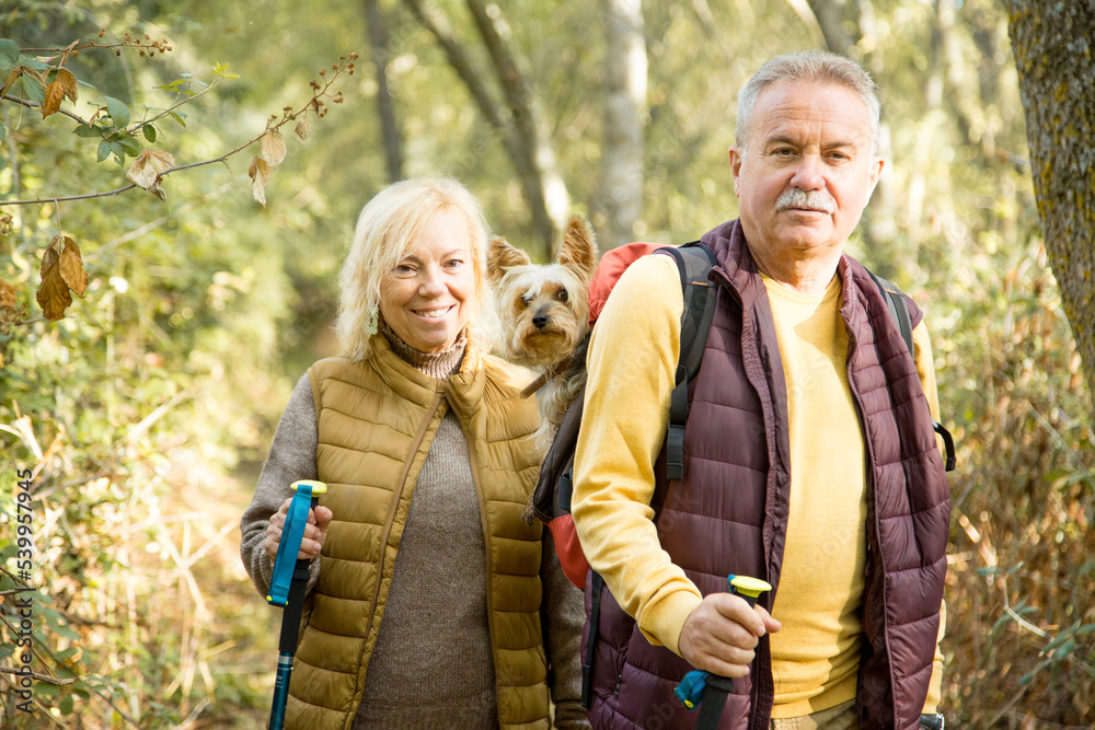 Couple carrying a senior small dog in the backpack during a trek Couple carrying a senior small dog in the backpack during a trek