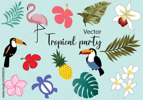 Set of Tropical summer party isolation vector: Tropical leaves, monstera leaves, flamingos, pitchers, turtles, pineapples, hammered orchids, hibiscus collection of scrapbook elements