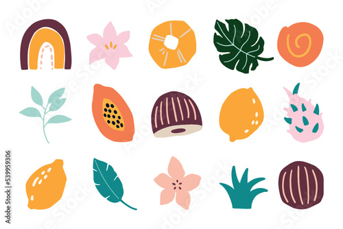 Abstract colorful simple geometric tropical shapes, boho shapes. Monstera leaves, flowers, coconut, papaya fruit hand painted illustration collection