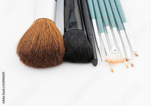 Fashion woman objects. Professional makeup brush set on white background