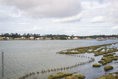 Ilhávo, Parque das merendas de Vista Alegre, Aveiro Portugal. photo