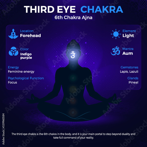 Third Eye Chakra, Ajna Symbol Location and Position in human body-vector illustration photo