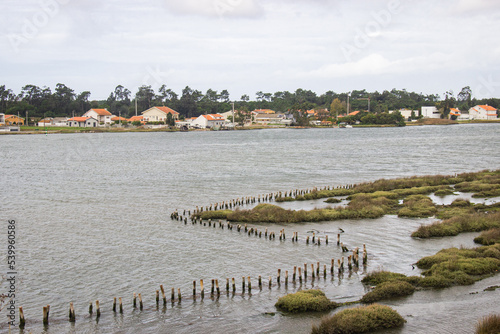 Ilhávo, Parque das merendas de Vista Alegre, Aveiro Portugal. photo