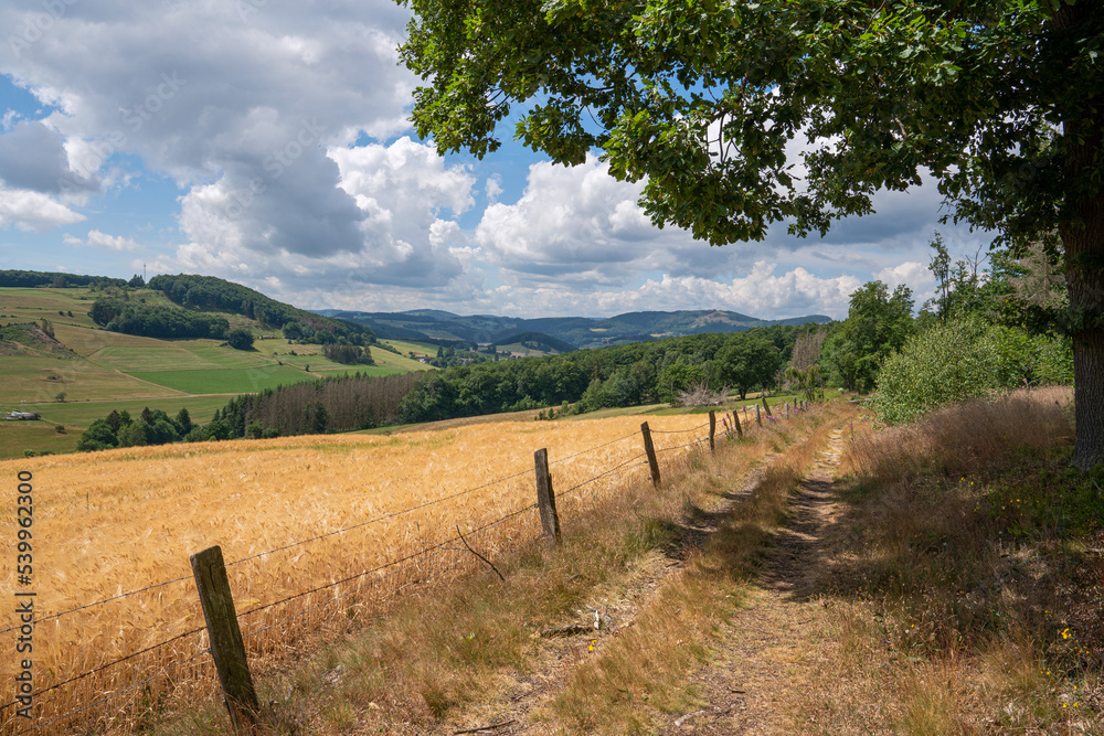 Landscape of Rothaar Mountains, Sauerland, Germany