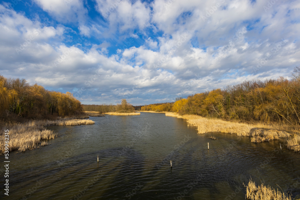 Fototapeta premium Balaton-felvideki nature reserve, Kis-Balaton, Transdanubia, Hungary
