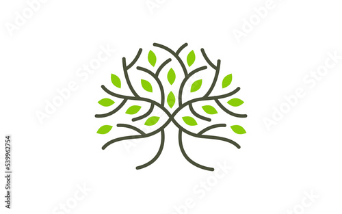 Illustration vector graphic of abstract life root on white background vector logo design template