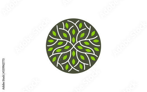 Illustration vector graphic of abstract life root on white background vector logo design template