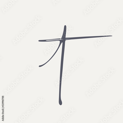 Letter t monogram logo.Calligraphic signature icon.Lowercase character.Lettering sign isolated on light fund.Handwriting style alphabet initial. © elaT