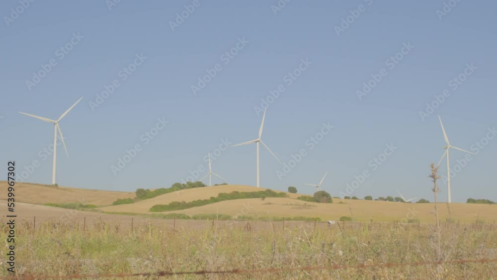 General shot of a field sown with wheat with windmills in the background in summer General shot of a field sown with wheat with windmills in the background in summer