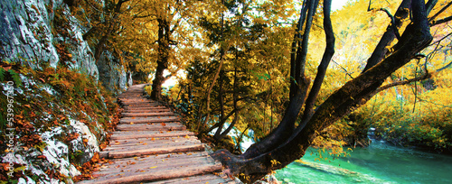 picturesque autumn view on famous Plitvuce lakes, Croatia, Europe ...exclusive-this image is sold only on Adobe stock	