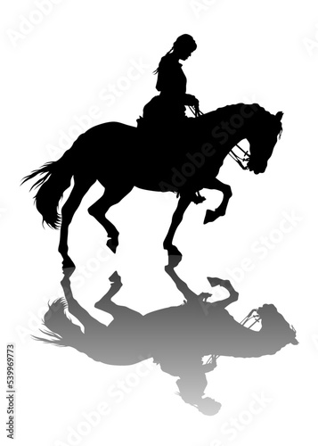 Horse with a riders women on a white background