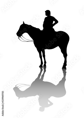 Horse with a riders women on a white background