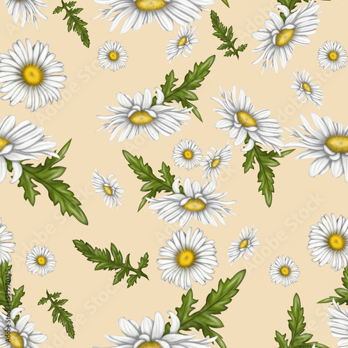 Seamless pattern for printing. Illustration of chamomile flowers. Bright beautiful flowers on a light background.