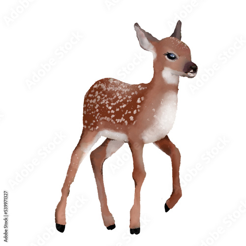cute adorable illustration deer