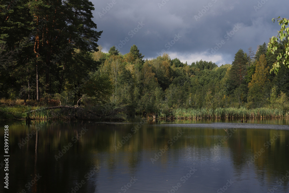 Autumn forest on the lake shore against a cloudy sky. Autumn landscape. The forest and the dramatic sky are reflected in the water surface. Autumn forest on the lake shore against a cloudy sky. Autumn landscape. The forest and the dramatic sky are reflected in the water surface.