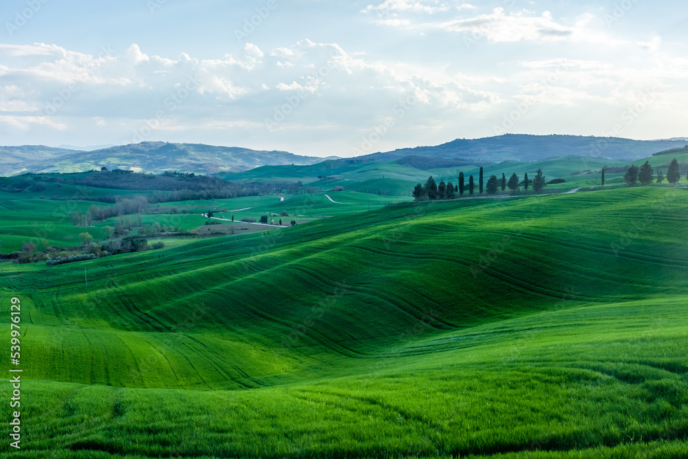 Green hills of the Tuscany countryside,  Italy