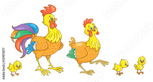 Chicken family. Cockerel, hen and three funny chickens. In cartoon style. Isolated on white background. Vector illustration.