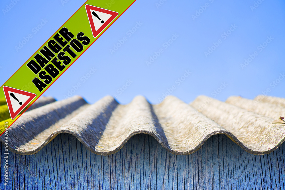Vivid Is Asbestos Dangerous Photo for Your Screen Vivid Is Asbestos Dangerous Photo for Your Screen