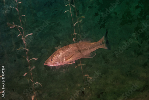 Digitally created watercolor painting of a smallmouth bass swimming in a Michigan inland lake.
