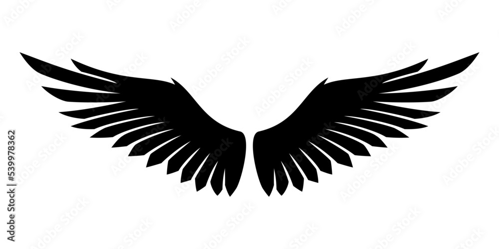 Two wings icon isolated on white background. Two wings icon isolated on white background.