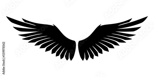 Two wings icon isolated on white background.