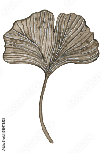 Ilan ianga leaf watercolor illustration photo