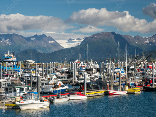 Commercial fishing boats of all kinds and sizes in Homer Harbor in Kachemak Bay, Kenai Peninsula photo