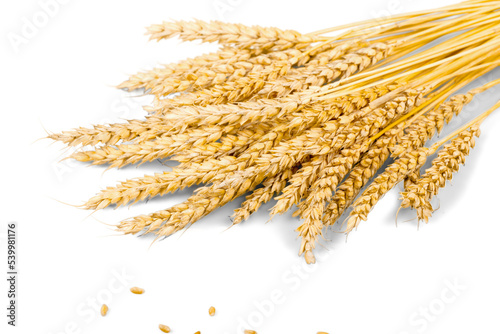 Wheat ears isolated on white background