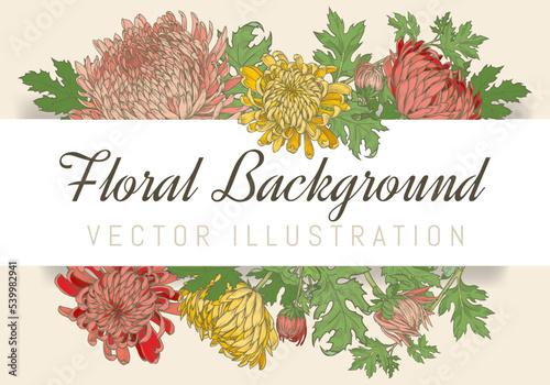 Horizontal floral frame of yellow, pink and red chrysanthemums. Wedding, anniversary or holiday invitation template. Hand drawn vector illustration.