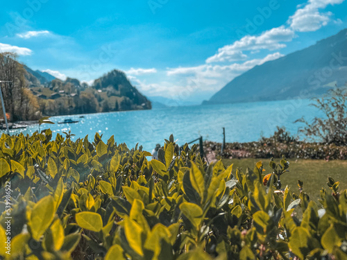 lake and mountains