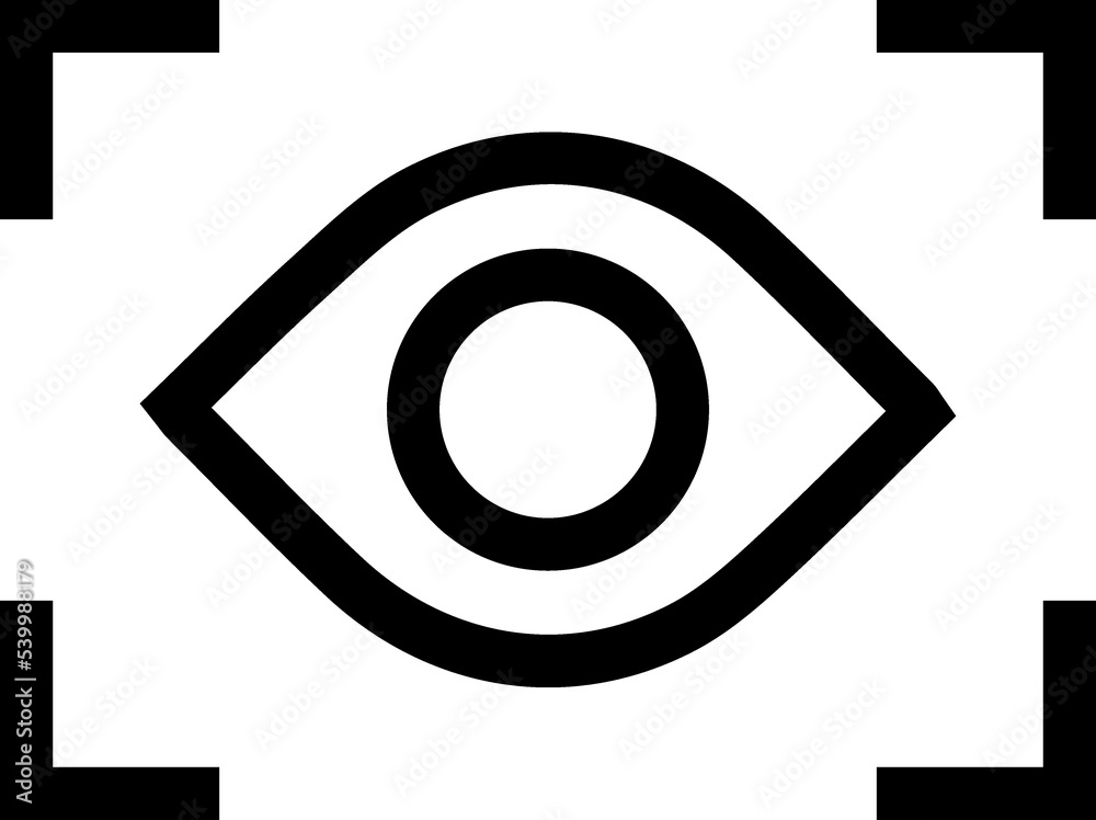 Eye Scanner Icon